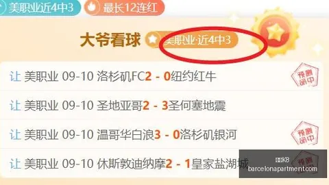 伊森非球星之路：顶级绿叶球员的珍贵价值
